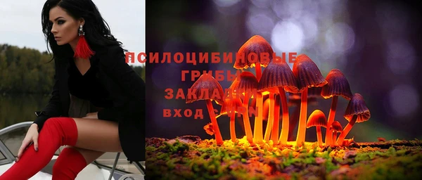 PSILOCYBIN Алексеевка