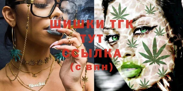 PSILOCYBIN Алексеевка