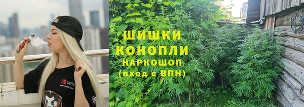 PSILOCYBIN Алексеевка
