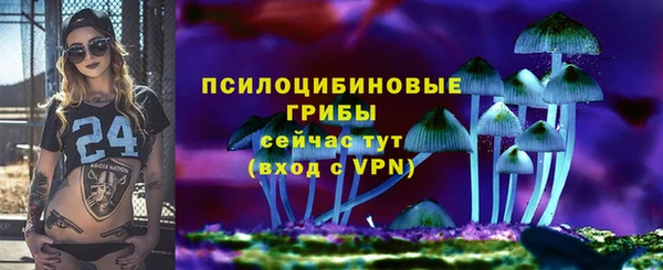 PSILOCYBIN Алексеевка