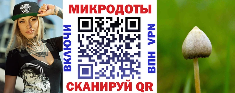 Псилоцибиновые грибы прущие грибы  что такое наркотик  нарко площадка какой сайт  Завитинск 